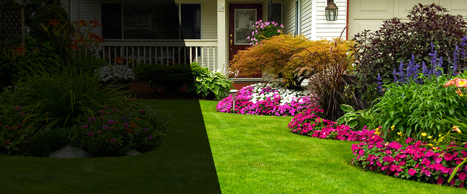Eden Valley Landscapers